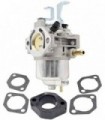 XQSMWF E1 Conjunto de carburadores do carburador compatível com o motor Vanguard 9hp EEEE1