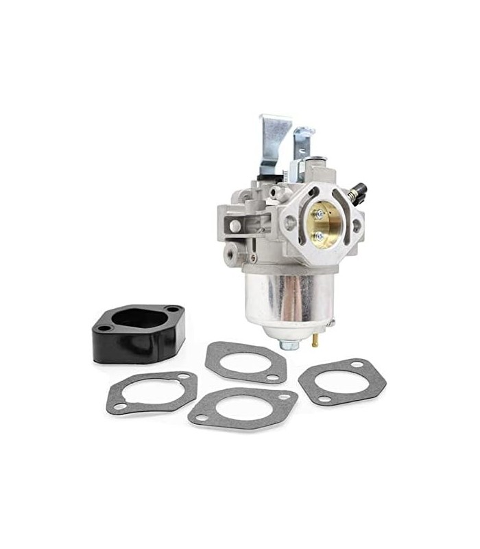 XQSMWF E1 Conjunto de carburadores do carburador compatível com o motor Vanguard 9hp EEEE1