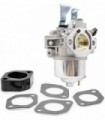 XQSMWF E1 Conjunto de carburadores do carburador compatível com o motor Vanguard 9hp EEEE1