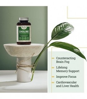 Bitartarato de Colina 500mg | Suporta Função Cognitiva | Colina 100% vegana e não transgênica