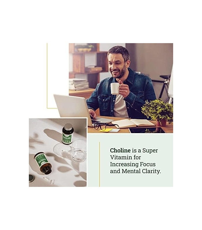 Bitartarato de Colina 500mg | Suporta Função Cognitiva | Colina 100% vegana e não transgênica