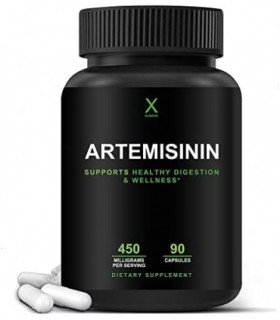 Artemisinina 450 mg - Suporta Envelhecimento Saudável e Imunidade - EUA Testado por Terceiros - Vegan, Não-OGM - Suplemento Arte