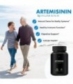 Artemisinina 450 mg - Suporta Envelhecimento Saudável e Imunidade - EUA Testado por Terceiros - Vegan, Não-OGM - Suplemento Arte