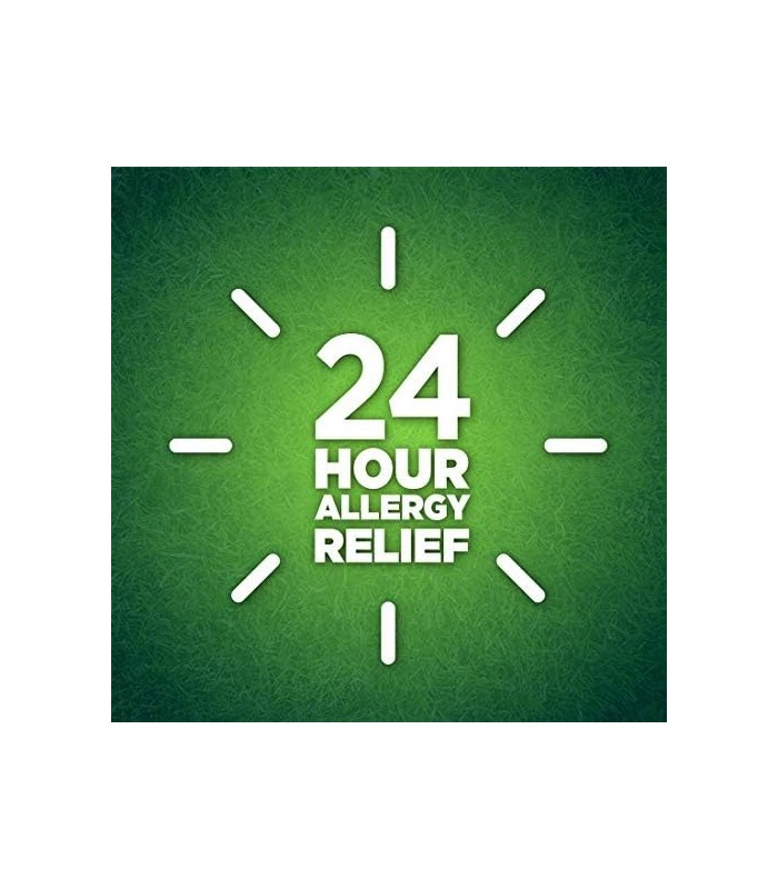 Berkley & Jense 10 mg Cloridrato de Cetirizina Comprimidos Anti-histamínicos, 365 unidades