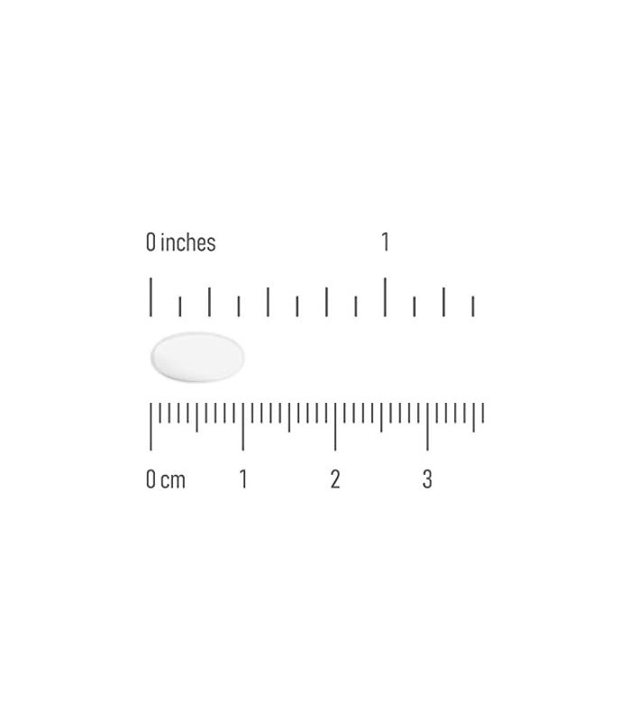 Berkley & Jense 10 mg Cloridrato de Cetirizina Comprimidos Anti-histamínicos, 365 unidades